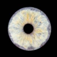 Alicia ROSE - ALICIA ROSE PHOTO